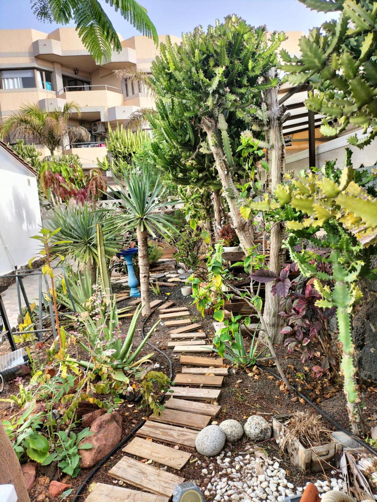 Apartamento Diamar Corralejo Extérieur photo